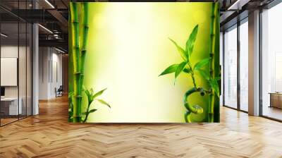 background with bamboo for spa treatment - olive green Wall mural