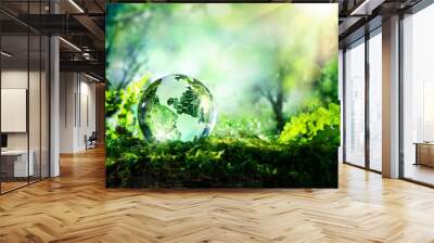 crystal globe on moss in a forest - environment concept Wall mural