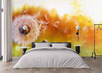 Dandelion In Field At Sunset - Freedom to Wish Wall mural