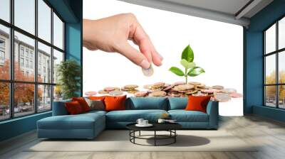 finance new business - start-up - Money and plant  with hand Wall mural