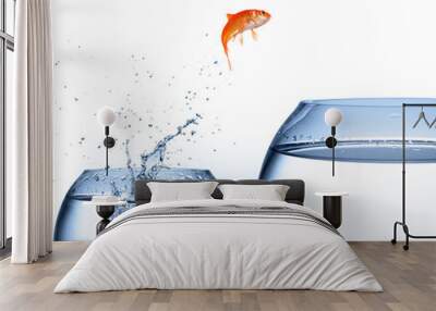 goldfish jumping out of the water - improvement concept Wall mural