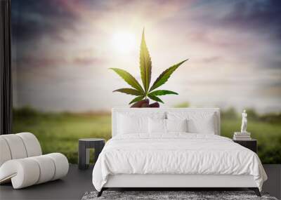 Hand Showing Cannabis Leaf Against Sky With Sunlight
 Wall mural