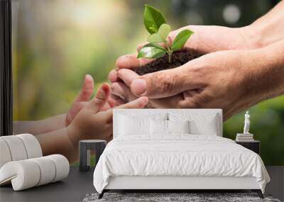 hands of a child taking a plant from the hands of a man - garden Wall mural