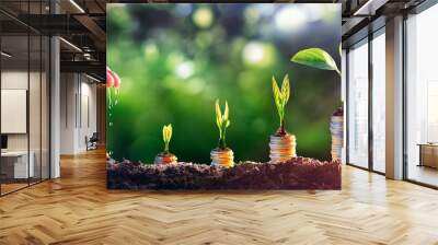 Money Plant - Financial Growth Investment - Growing Business Concept Wall mural