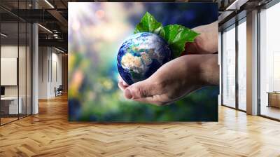 world in hand - environment concept Wall mural