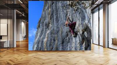 Extreme,autumn,rock climbing Wall mural