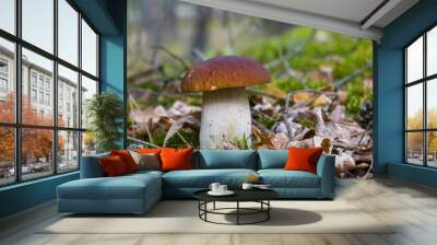 cep mushroom in forest moss and foliage Wall mural