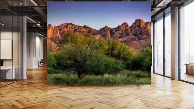 Scenery with Catalina Foot Hills in Tucson, Arizona, USA Wall mural