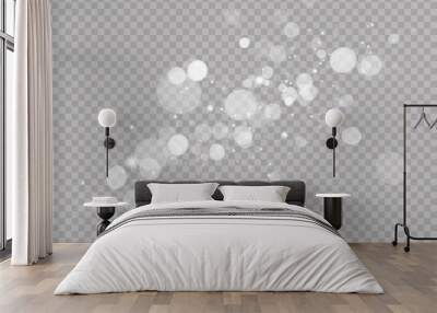 abstract light shine blur bokeh effect on white transparent background. vector lens flare spot light Wall mural