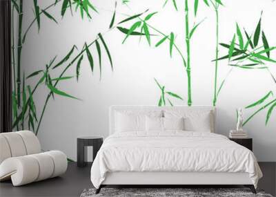 Bamboo oirental asian green seamless pattern vector background Wall mural