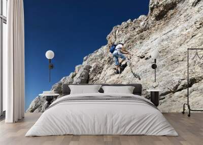 Mountain climber Wall mural