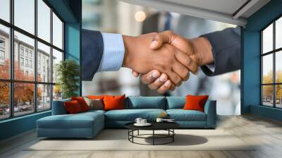 Person sitting at table, shaking hands with another person, finalizing successful business negotiation 00658 0. Wall mural