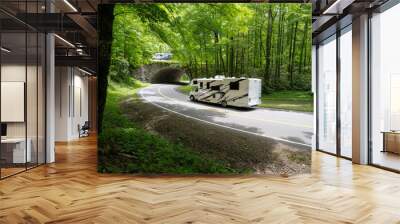 Recreation vehicles driving over and below an overpass along a mountain road through a forest, The Loop, Newfound Gap Road, Great Smoky Mountain National Park, Tennessee Wall mural