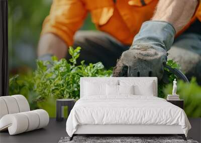 A gardener carefully tending to fresh greens in a vibrant garden, showcasing the joy of nurturing plants and connecting with nature. Wall mural