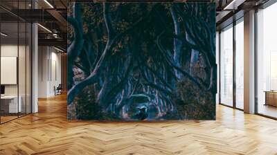 night in the forest Wall mural