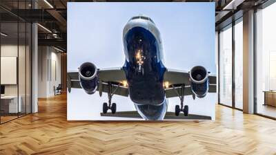 airplane at landing Wall mural