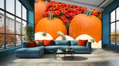 fall display of white and orange pumpkins with mums in autumn Wall mural