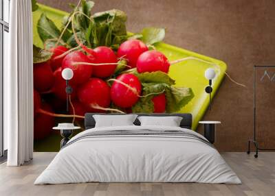 Fresh Radishes on a cutting board on a textured background Wall mural