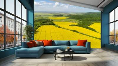 Aerial view of colorful rapeseed field in spring with blue sky in Ukraine. Wall mural