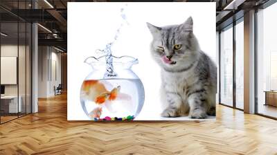 cat and fish Wall mural