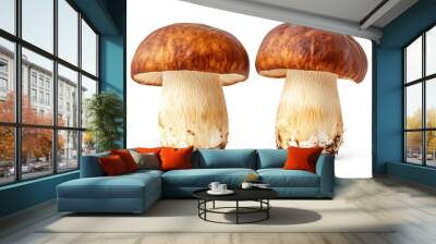 boletus mushrooms isolated on a white background Wall mural