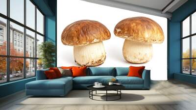 boletus mushrooms isolated on a white background Wall mural