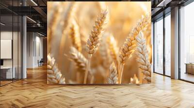 close-up of golden wheat stalks Wall mural