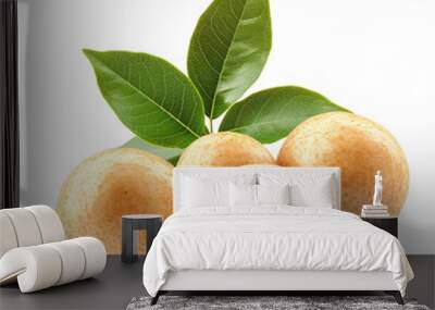 Longan fruit with leaves  isolated on transparent background Wall mural