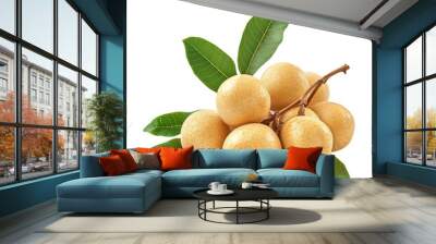 Longan fruit with leaves  isolated on transparent background Wall mural