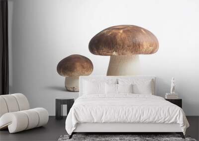 two mushrooms on a white background Wall mural