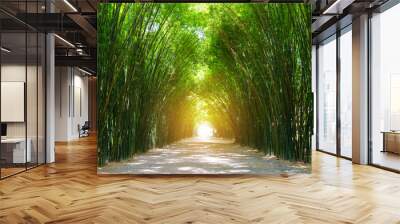 Tunnel bamboo tree with sunlight. Wall mural