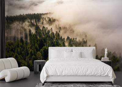 mystic fog in forest of the mountains Wall mural