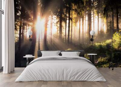 sun light forest trees flare Wall mural