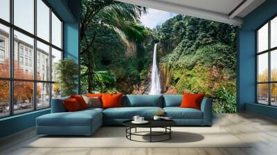 Catarata del Toro into the Rainforest, Costa Rica, Central America Wall mural