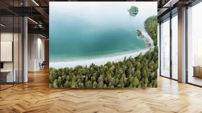 Scenic flight above Tofino Harbour, Vancouver Island. British Columbia, Canada Wall mural