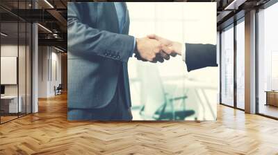 business people handshake after successful partnership deal Wall mural