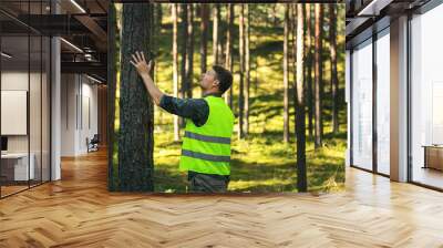 forest engineering and management, renewable resources - forester hecking quality of pine tree Wall mural