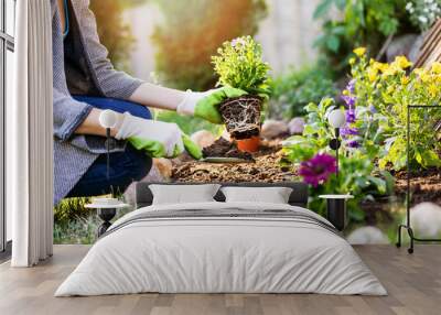 gardener planting flowers in garden bed Wall mural