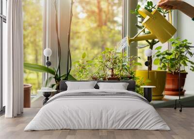 hand with water can watering indoor plants on windowsill Wall mural