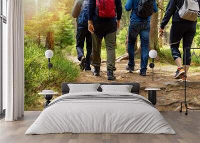 nature adventures - group of friends walking in forest with backpacks Wall mural