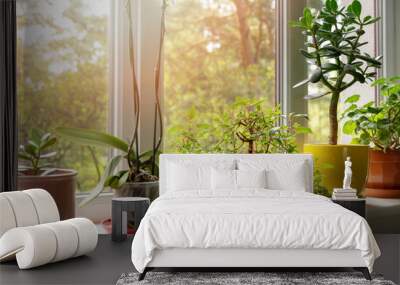 potted indoor plants on sunny home windowsill Wall mural