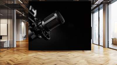 professional sound recording microphone on black background. banner with copy space Wall mural