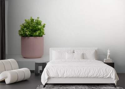 shelf on white wall with green plant in pink pot. copy space Wall mural