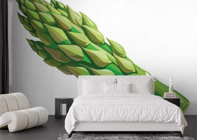 Asparagus vector illustration on white background Wall mural