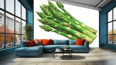 Asparagus vector illustration on white background Wall mural