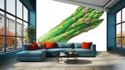 Asparagus vector illustration on white background Wall mural