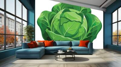 Cabbage vector illustration on white background Wall mural