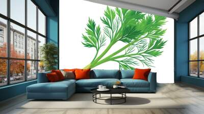 organic fresh dill vector illustration  Wall mural