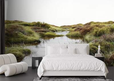 A scenic view of a lush green marshland with water streams surrounded by various grasses and vegetation on an overcast day Wall mural