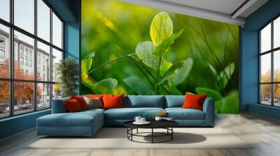 nature. forest berries. sprout of blueberry in a deep green grass. backlit by the sunset Wall mural